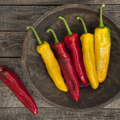 Seewinkler Sonnengemüse